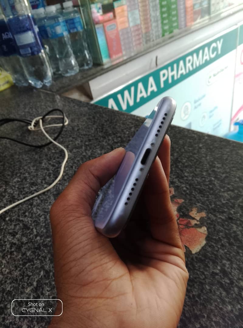 Apple iPhone 11 0