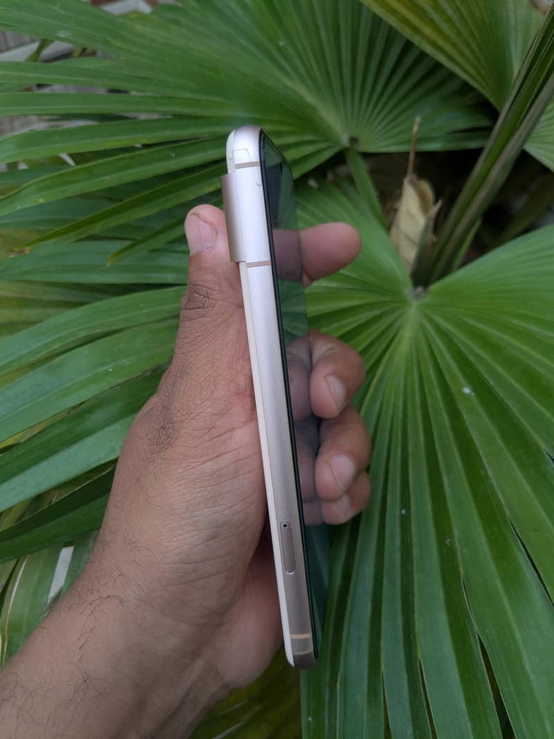 Google Pixel 8 1