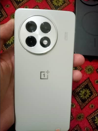 One Plus 13R