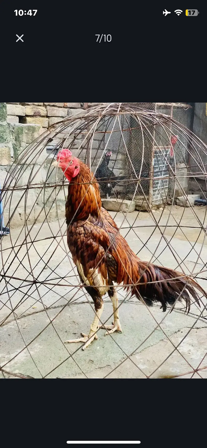 only whatsap par content karia — photo 7