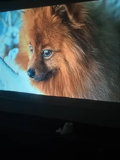 hd android projector