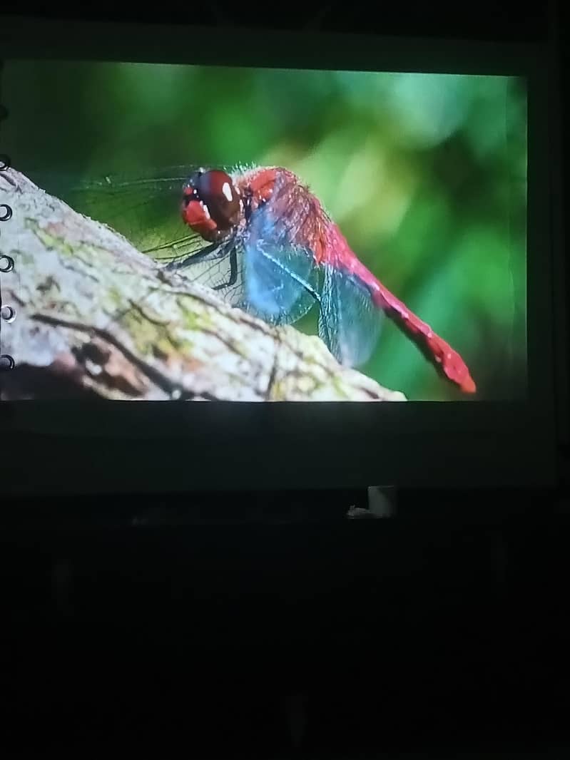 hd android projector 3