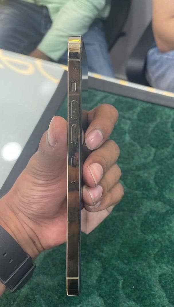 Apple iPhone 13 Pro Max 2