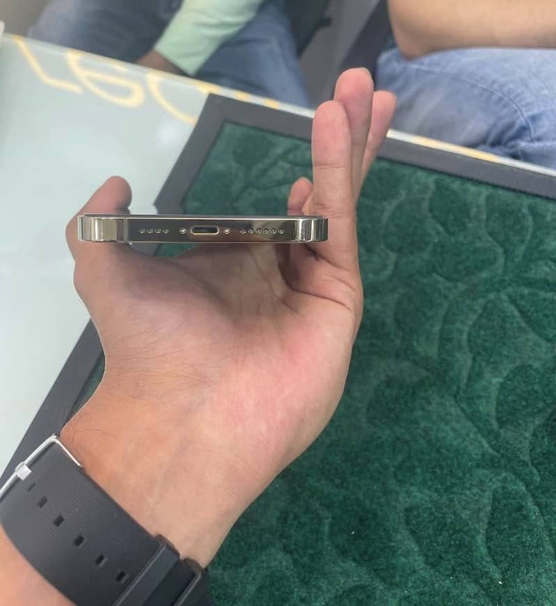 Apple iPhone 13 Pro Max 3