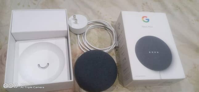 Google Nest Mini