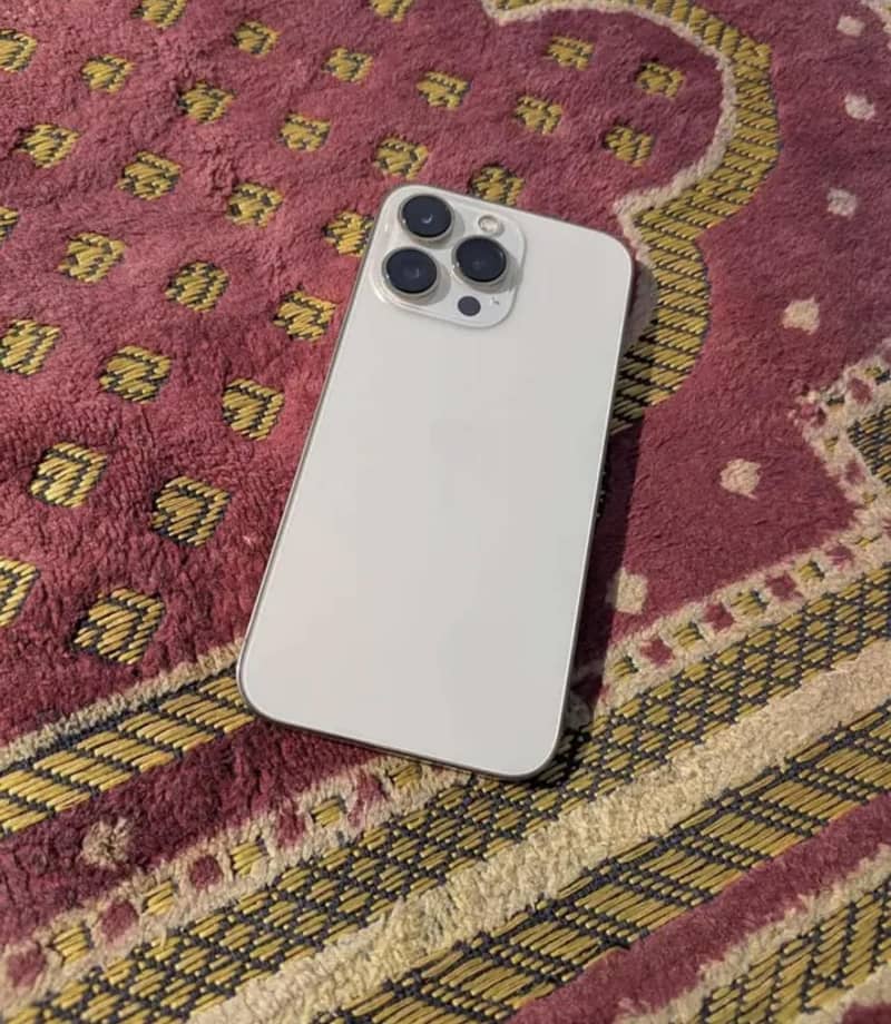 Apple iPhone 13 Pro Max 1