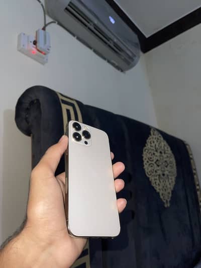 Apple iPhone 13 Pro Max