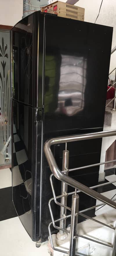 Orient Glass Door Full Size Refrigerator