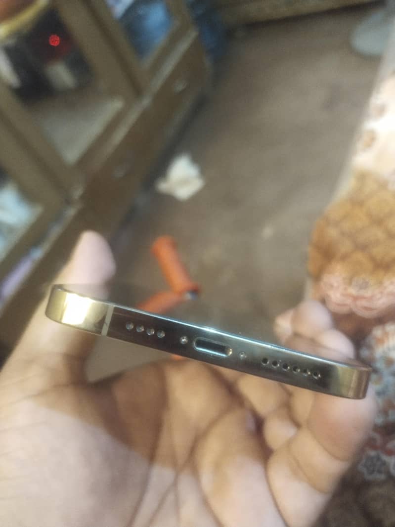 Apple iPhone 12 Pro Max 1