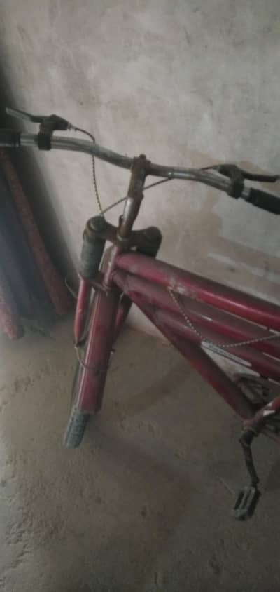bicycle