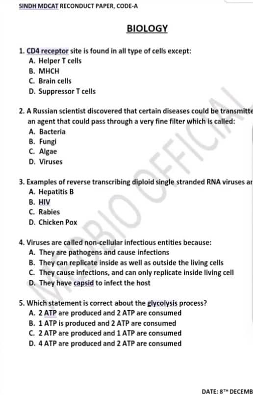 Content writer 11