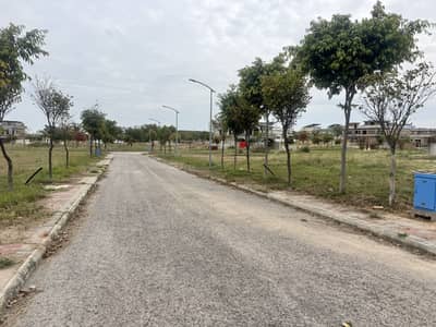 D Block Ideal Location 10 Marla Plot For Sale