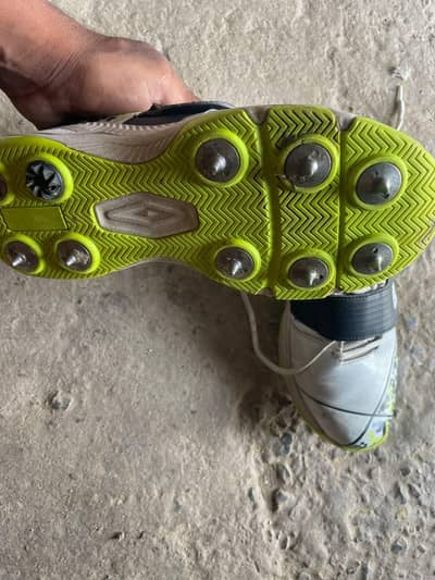 spikes
