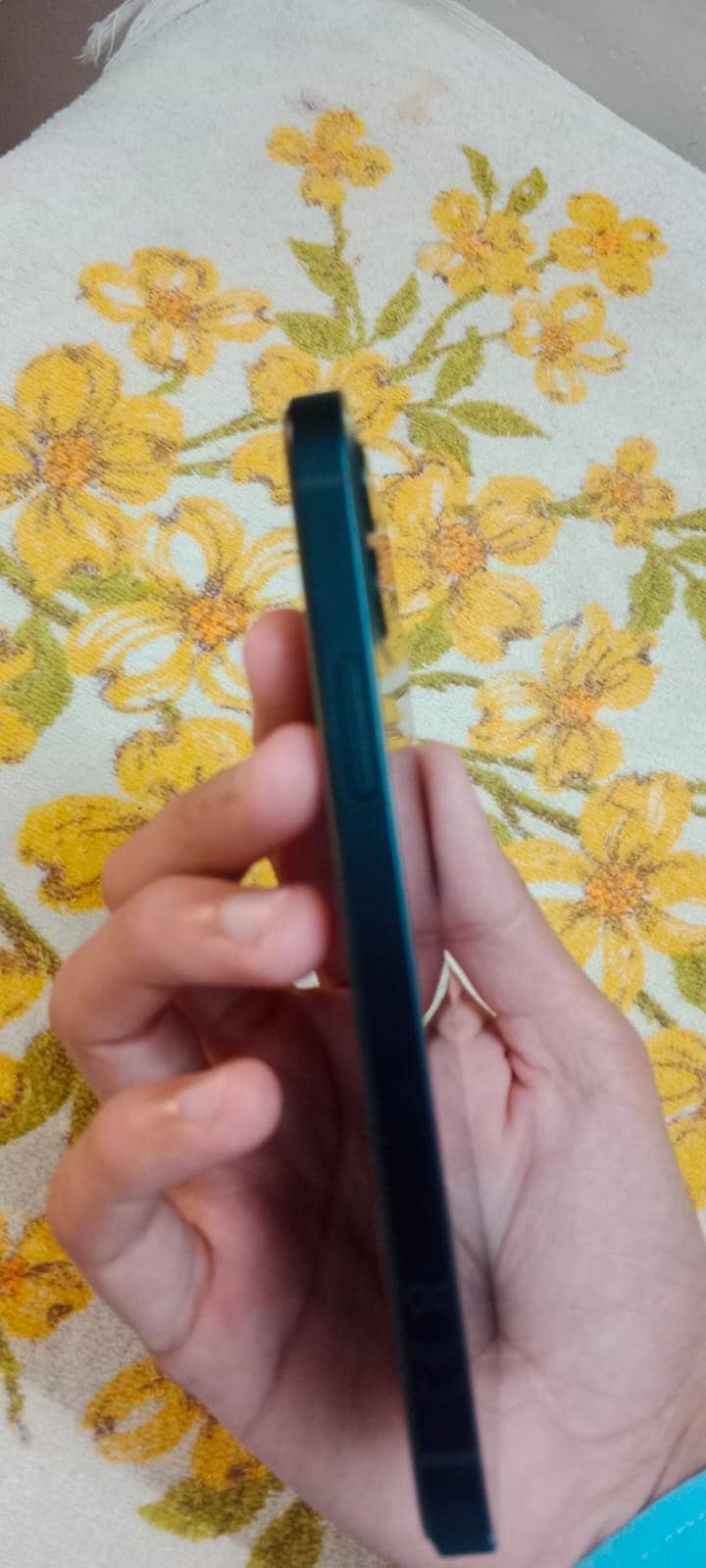 Apple iPhone 12 1