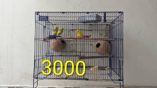 urgent sale