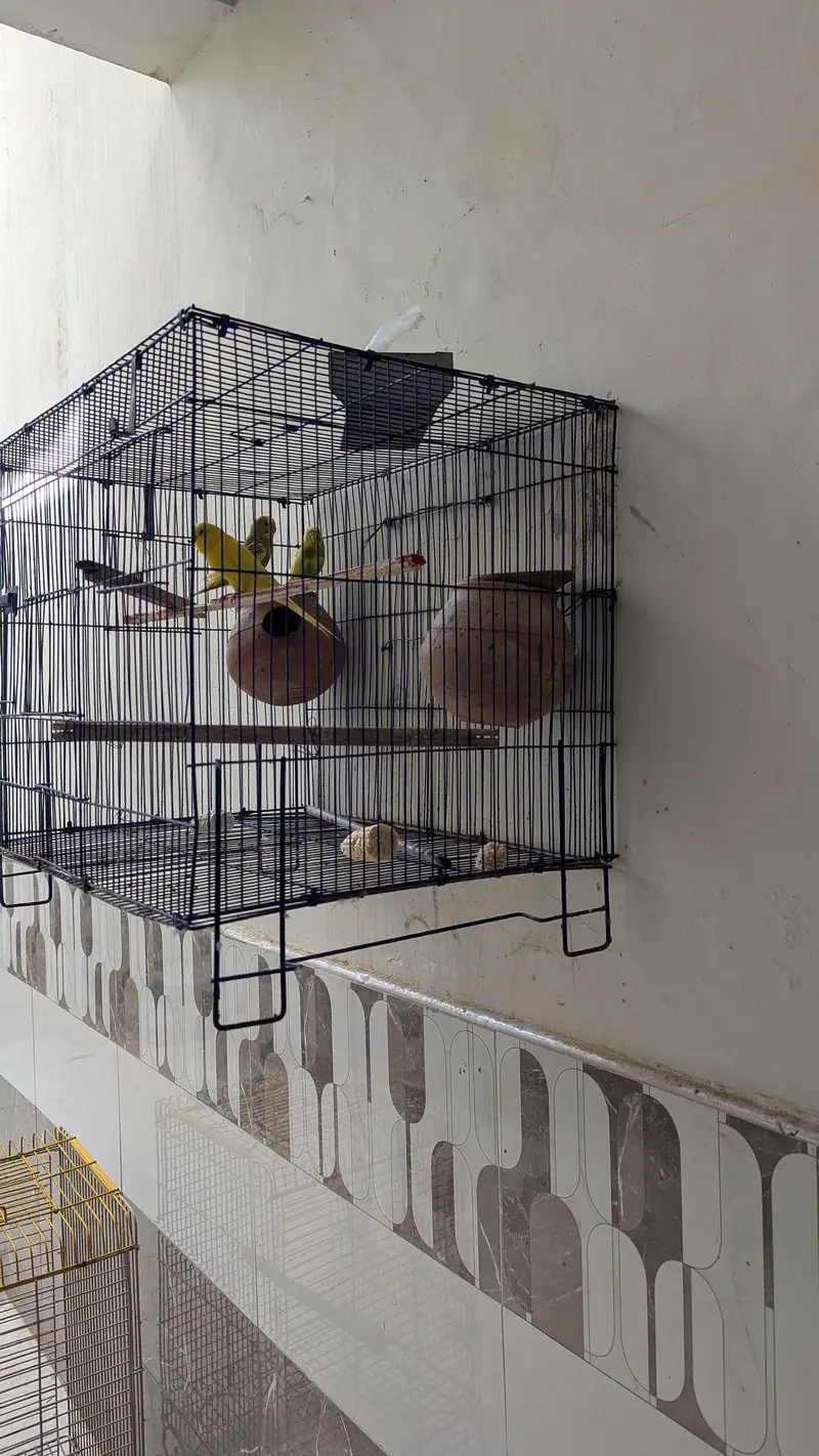 urgent sale — photo 2
