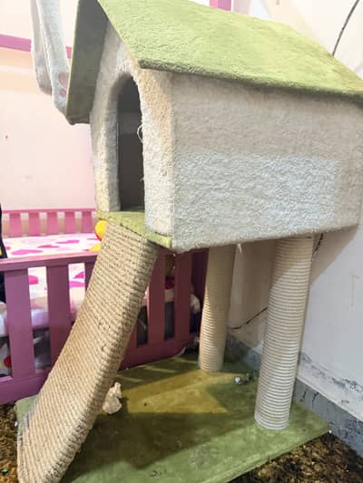 Cat house