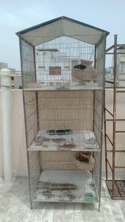 Cage For Birds