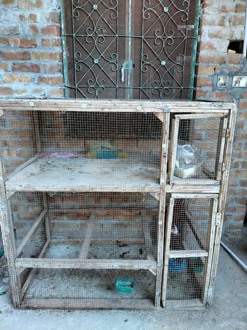lakha murga all setup for sale  03,1,3,5,6,0,3,4,0,0 — photo 10