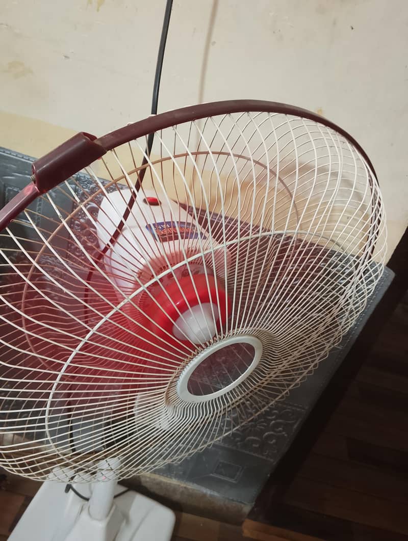 stand.  fan 1