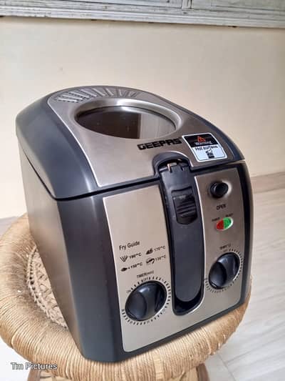 Electric Stainless Steel Deep Fryer (GEEPER)