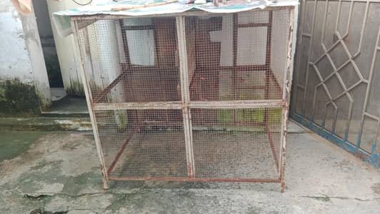 cage 4 sale