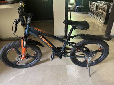 Champion Bicycle