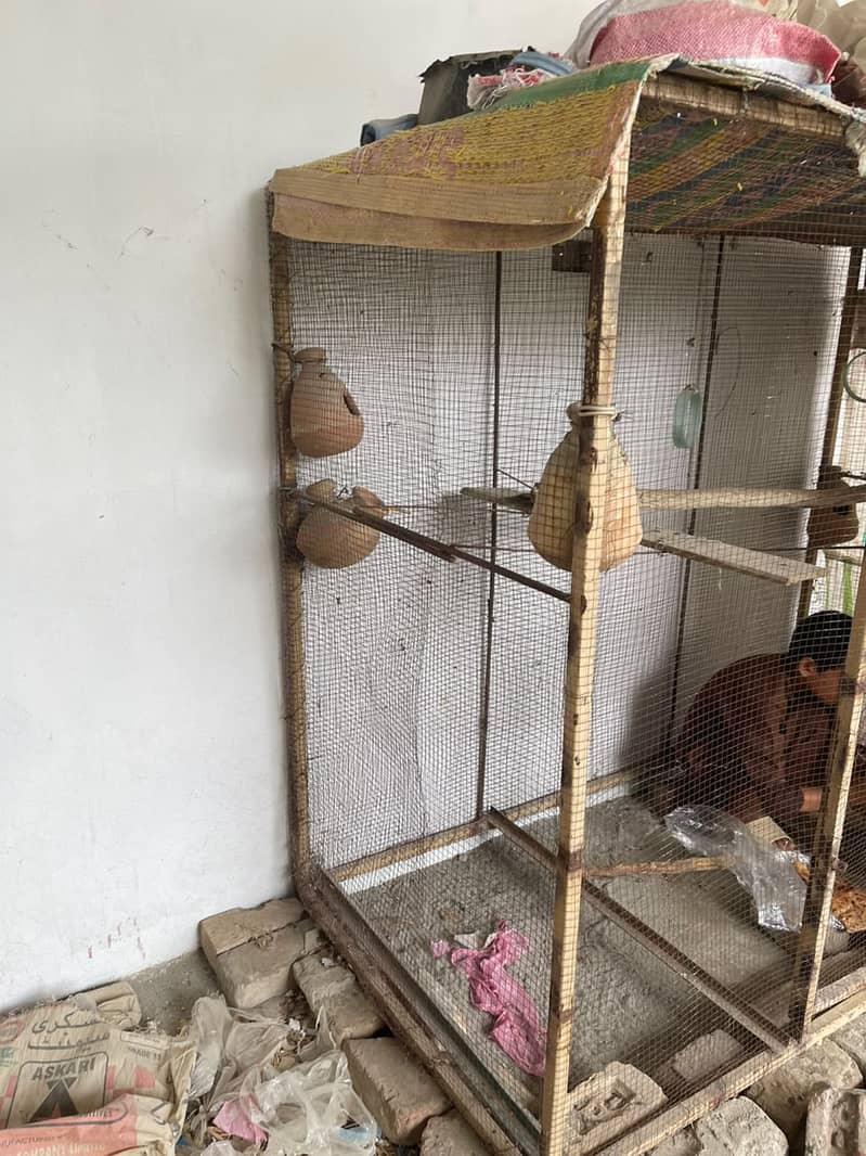 Bird cage 0