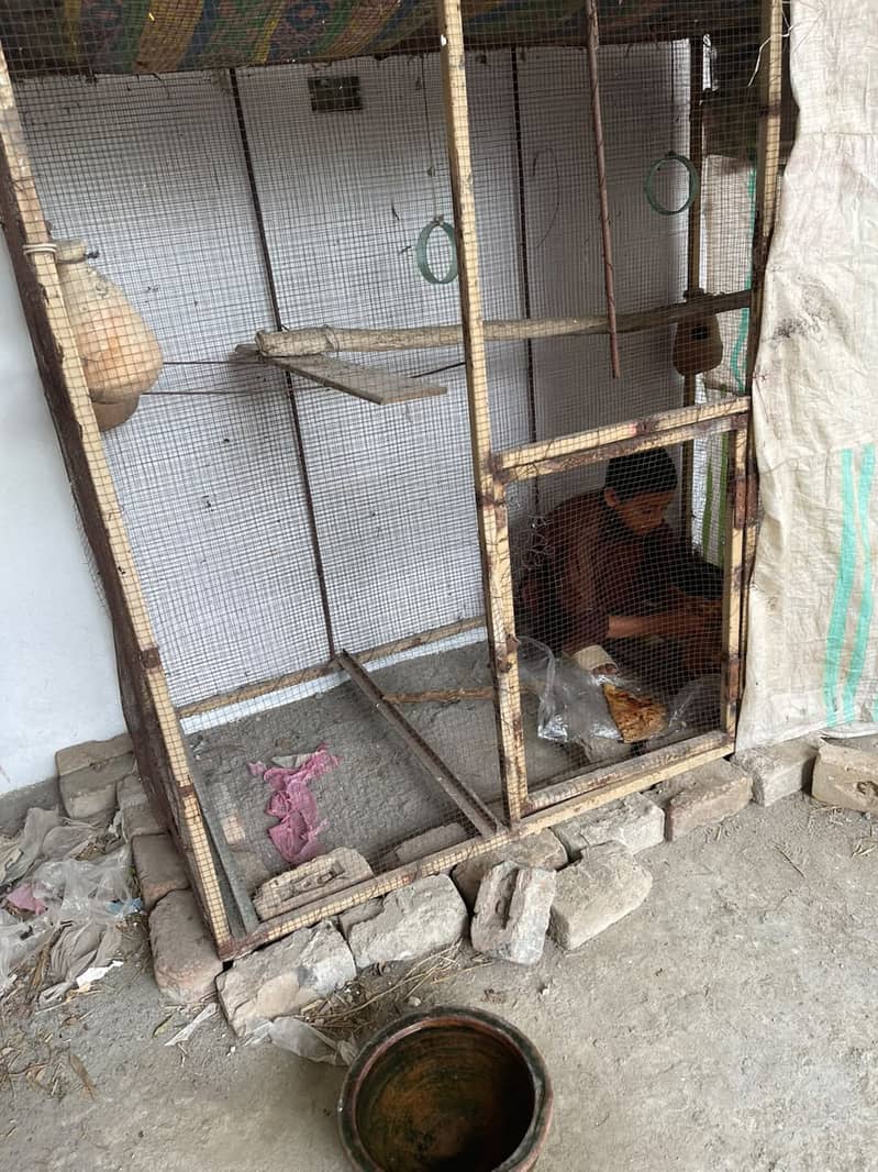Bird cage 1