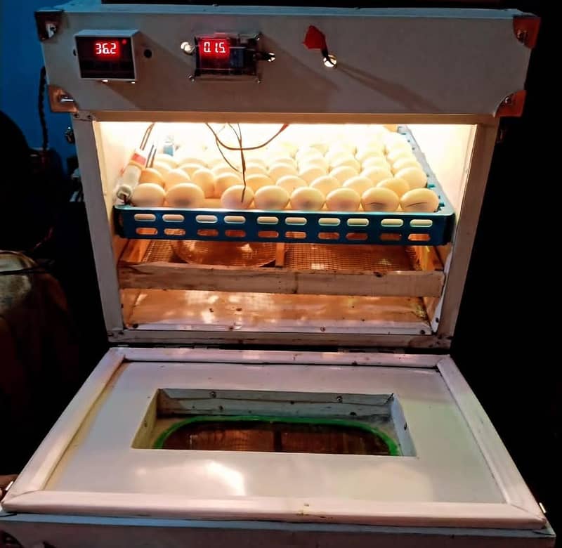 80 egg Automatic Incubator 1