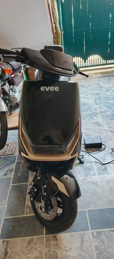 2026 evee gen -z gerphene