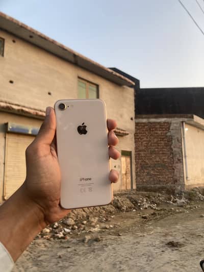 Apple iPhone 8 and iPhone se 2