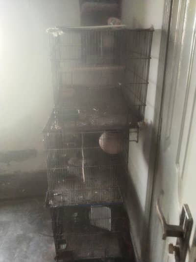 3 large bird cages for urgent sale