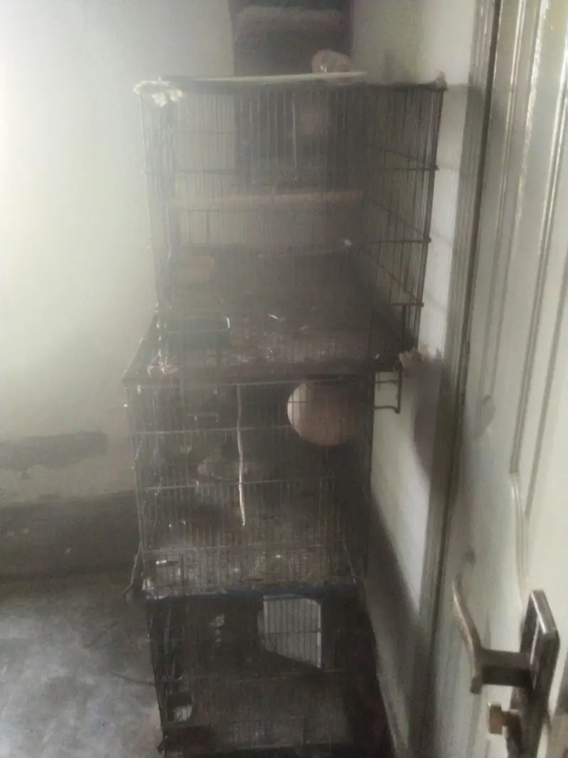 3 large bird cages for urgent sale