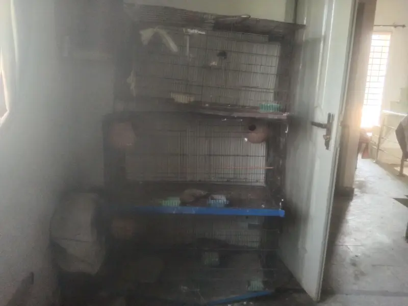 3 large bird cages for urgent sale — photo 3