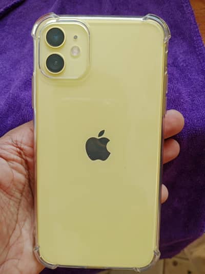I phone 11 10/10