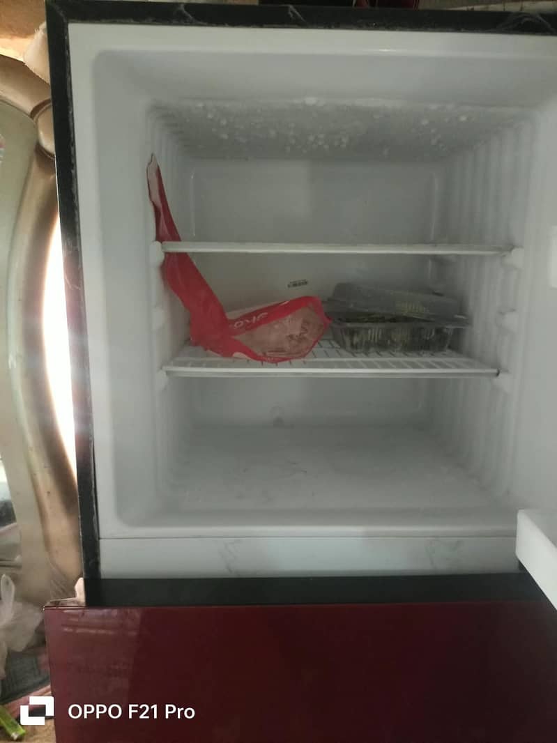 Fridge 3
