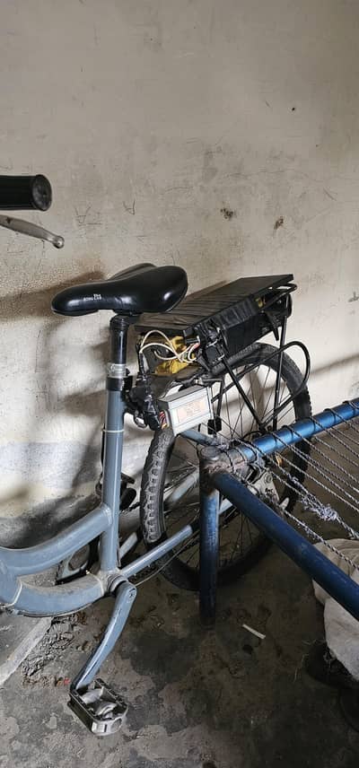 Electric Bicycle for sale
