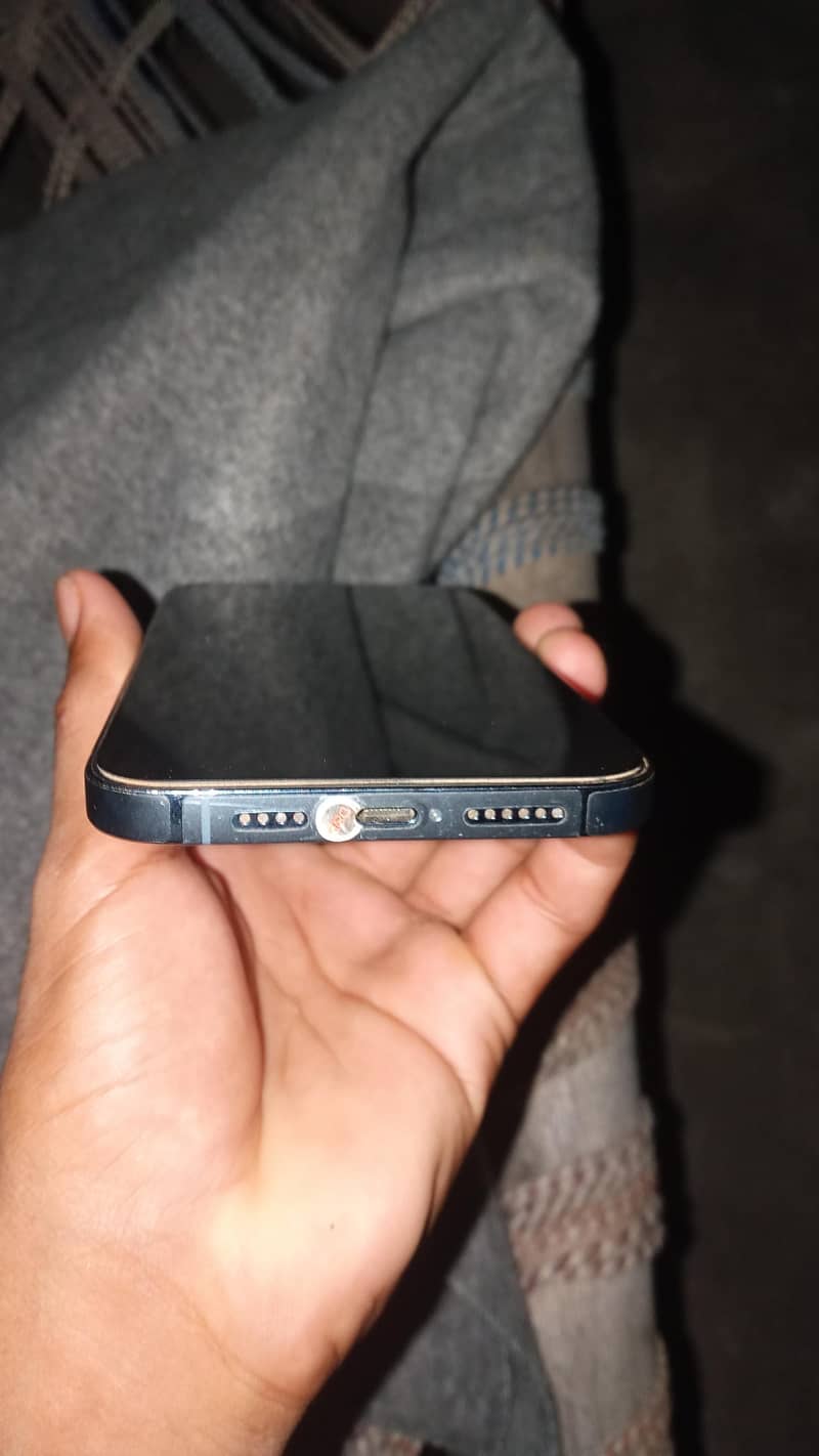 Apple iPhone 13 Pro Max 1