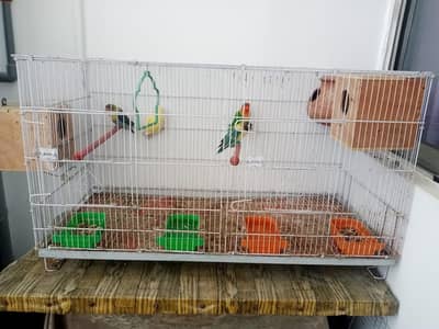 cage with love birds