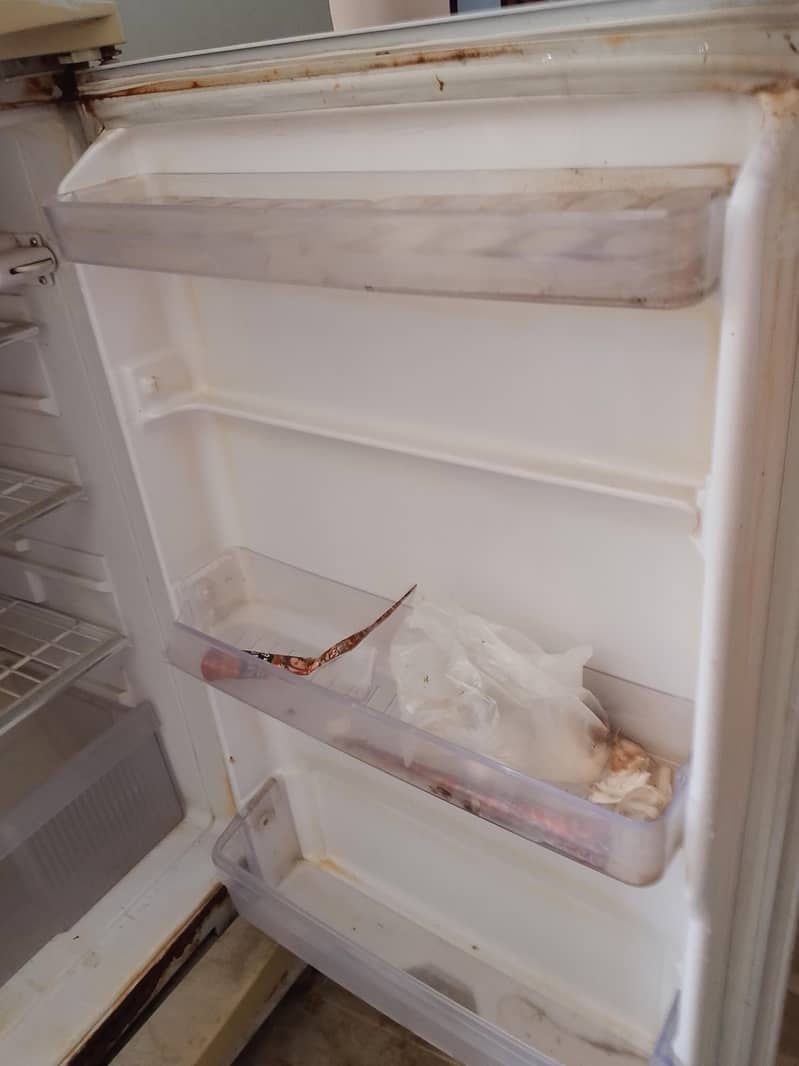 Singer fridge medium size 4