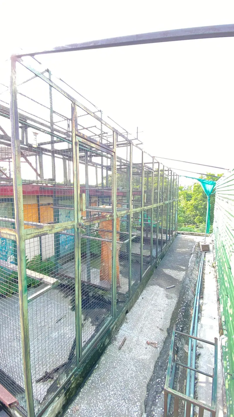 Heavy-Duty Angle & T-Iron Rooftop Pigeon Cage for Sale — photo 2