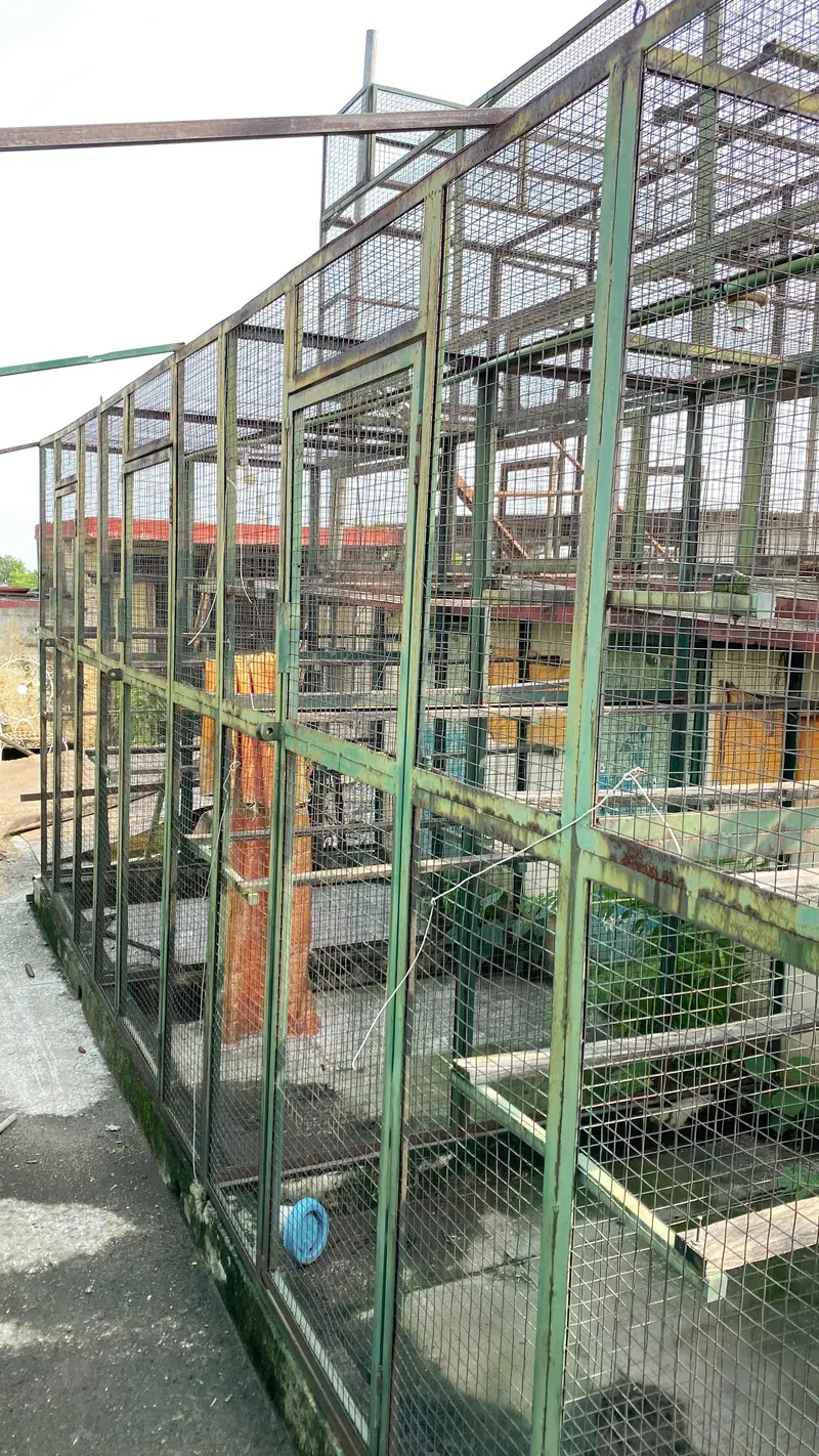Heavy-Duty Angle & T-Iron Rooftop Pigeon Cage for Sale — photo 3