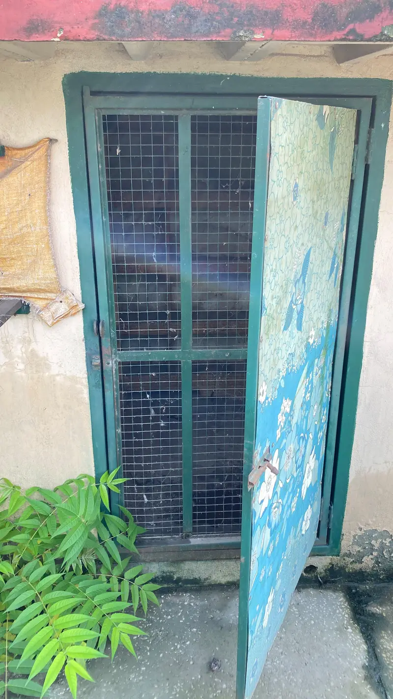 Heavy-Duty Angle & T-Iron Rooftop Pigeon Cage for Sale — photo 4