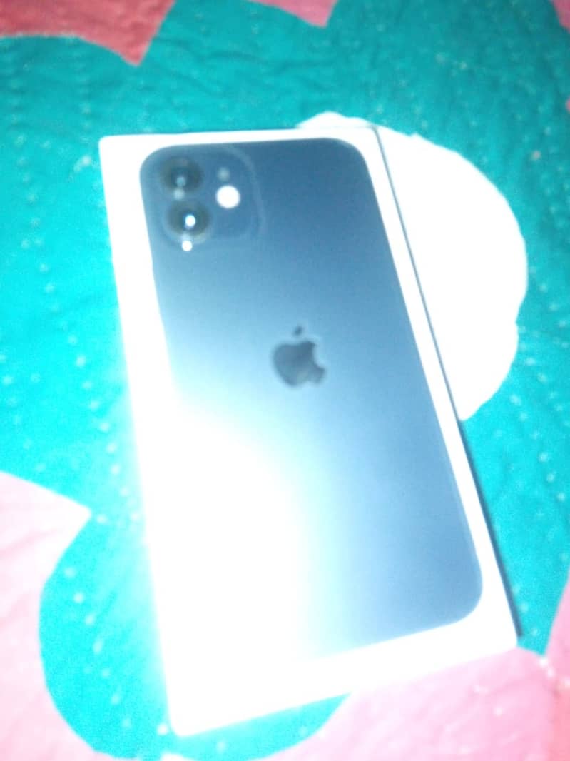 Apple iPhone 12 2