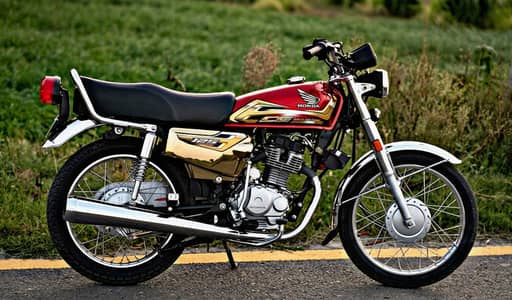 Honda cg 125 self start paka 26 ha or Whistler slander install