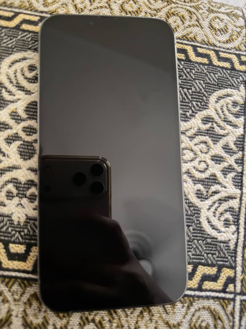 Apple iPhone 13 Pro Max 0