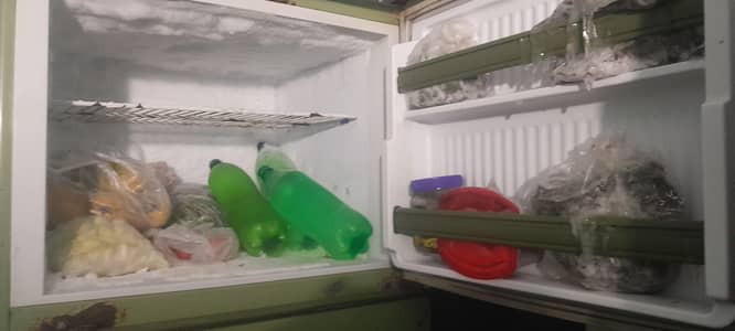 pel refrigerator for sale