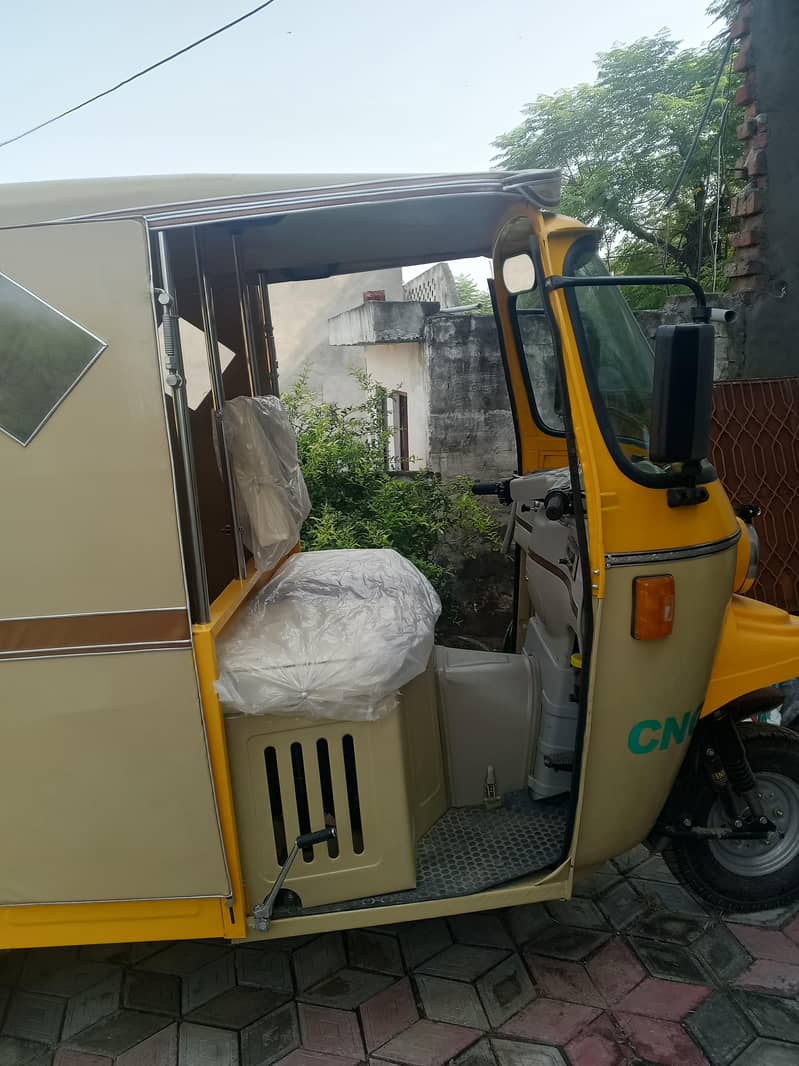 Auto Ricksha 1