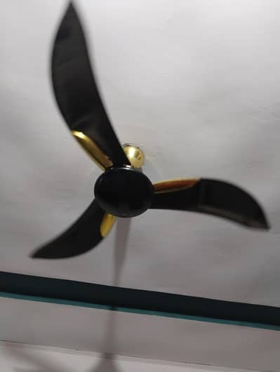 pak fan